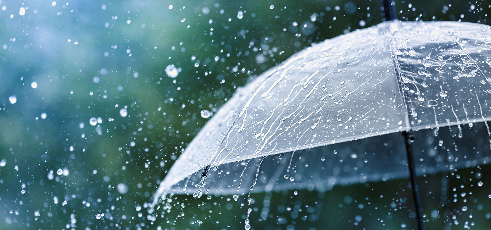 Texas Umbrella Insurance coverage
